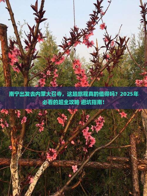 南宁到内蒙大召寺攻略