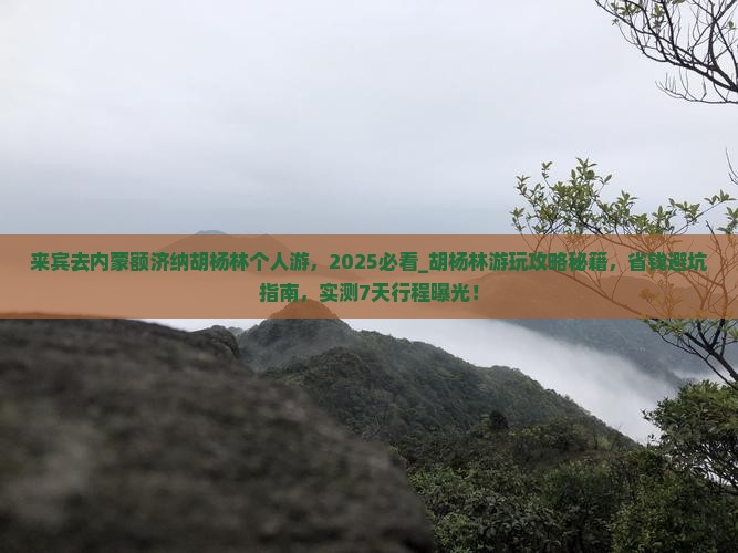 来宾去内蒙额济纳胡杨林个人游