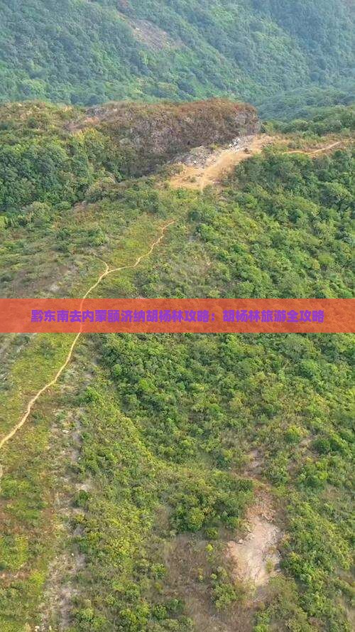 黔东南去内蒙额济纳胡杨林哪里玩