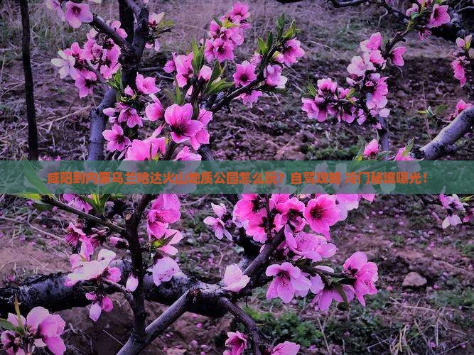 咸阳到内蒙乌兰哈达火山地质公园哪里玩
