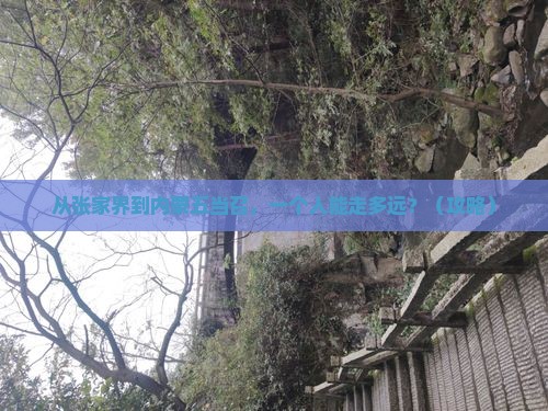 张家界到内蒙五当召个人游