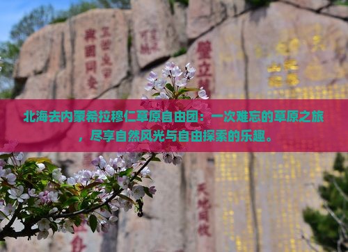 北海去内蒙希拉穆仁草原自由团