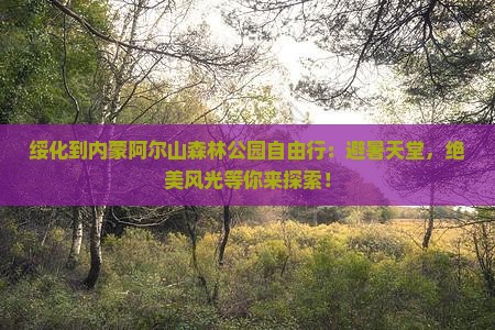 绥化到内蒙阿尔山国家森林公园自由行