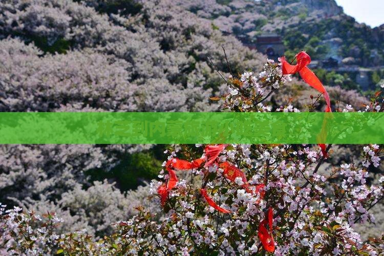 林芝到内蒙旅游小吃