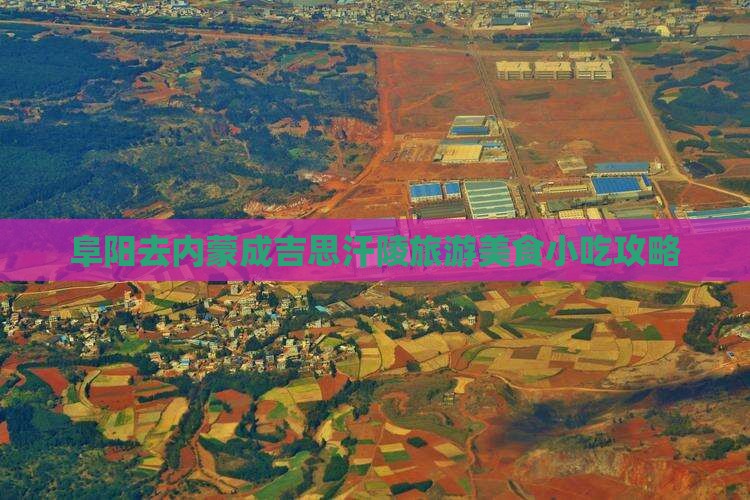 阜阳去内蒙成吉思汗陵旅游小吃