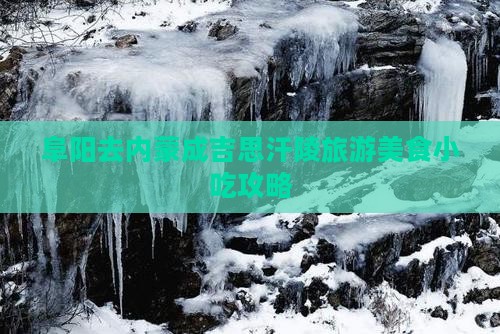 阜阳去内蒙成吉思汗陵旅游小吃