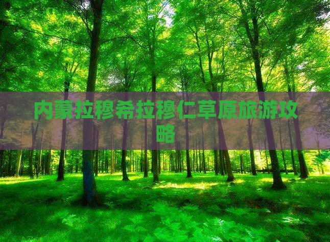 鹤岗去内蒙希拉穆仁草原必去地