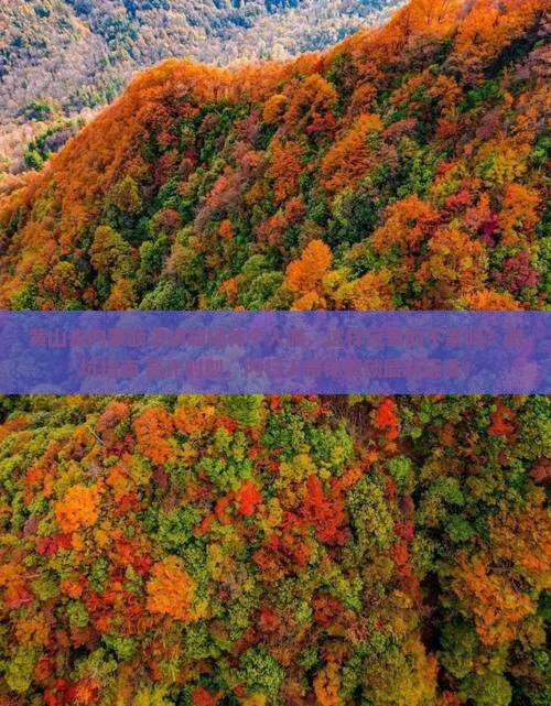 黄山去内蒙额济纳胡杨林个人游
