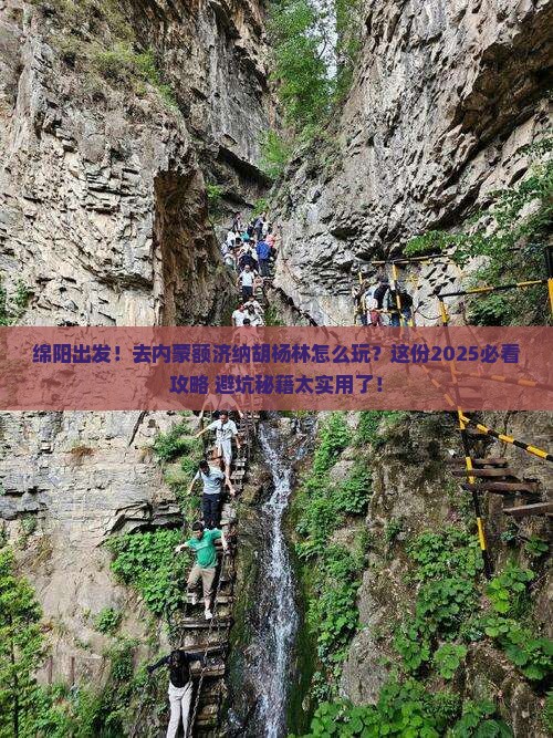 绵阳到内蒙额济纳胡杨林景点