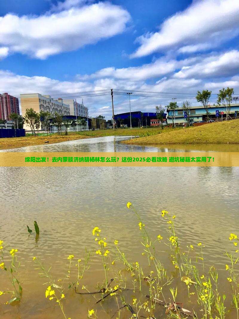 绵阳到内蒙额济纳胡杨林景点