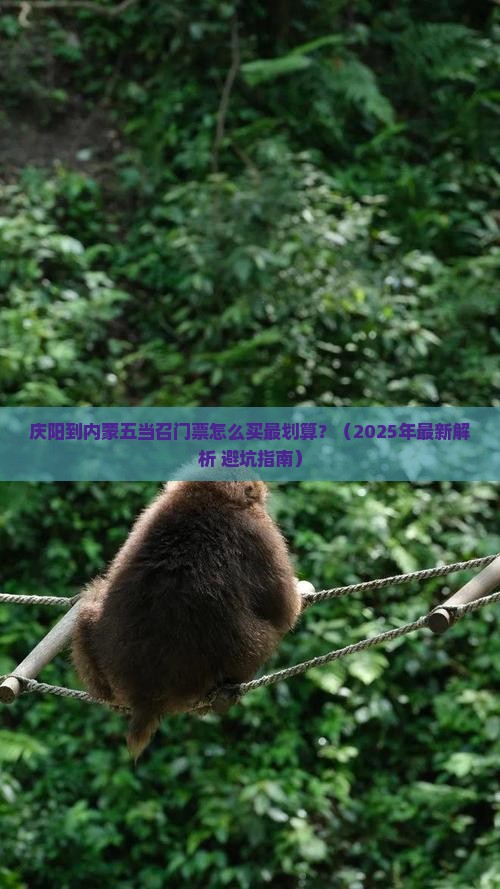 庆阳到内蒙五当召门票