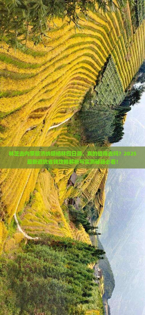 林芝去内蒙额济纳胡杨林四日游