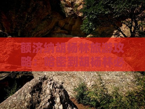 哈密到内蒙额济纳胡杨林必去地