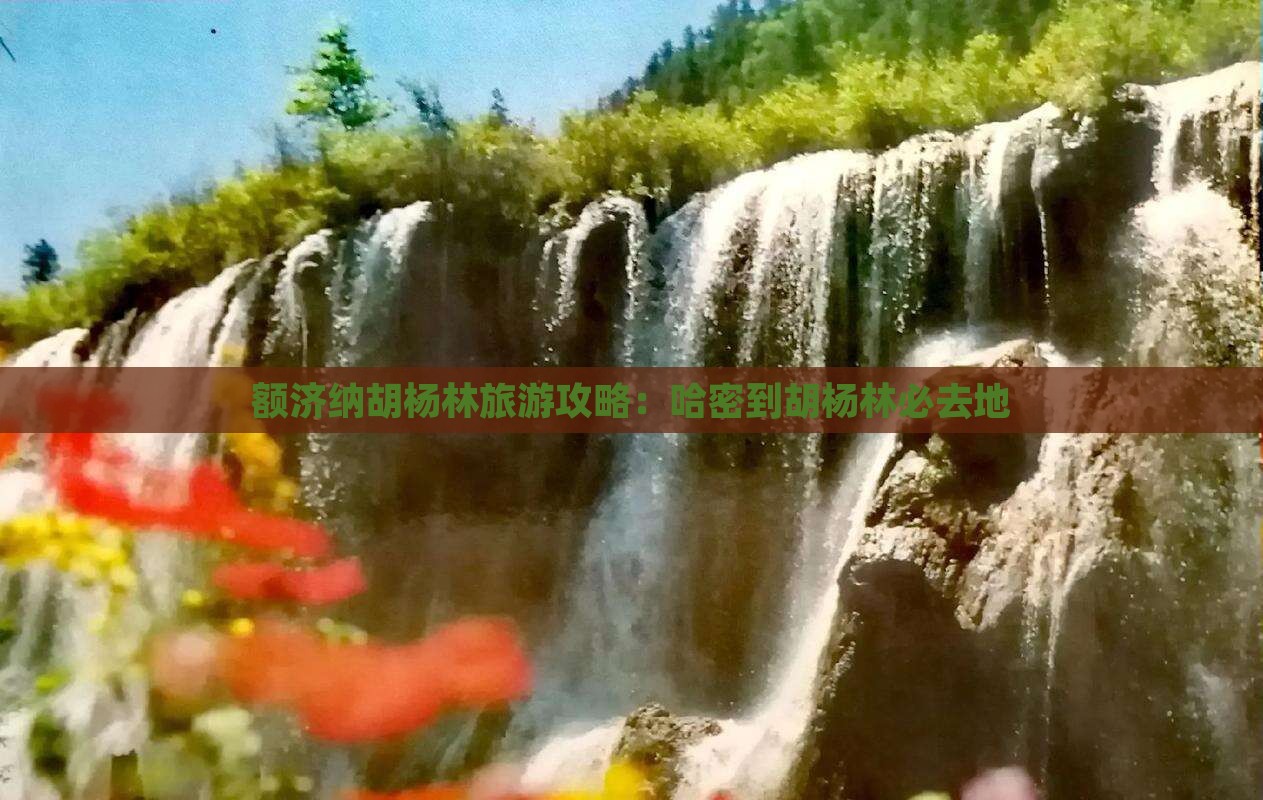 哈密到内蒙额济纳胡杨林必去地