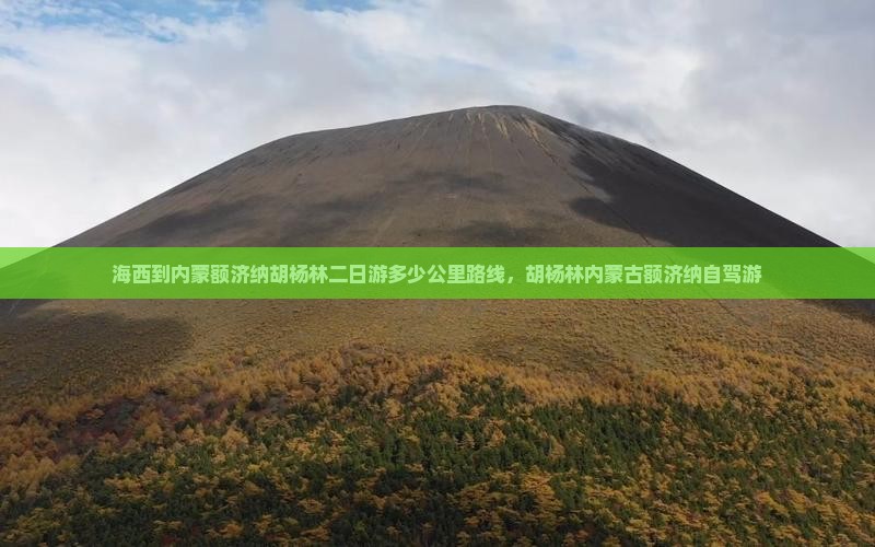 海西到内蒙额济纳胡杨林二日游