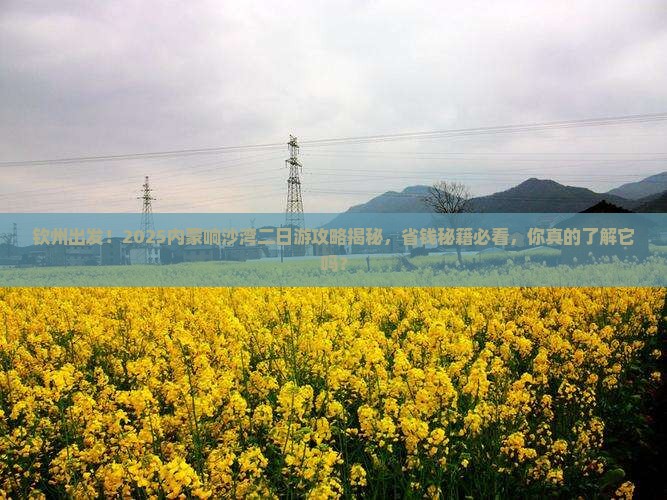 钦州去内蒙响沙湾二日游
