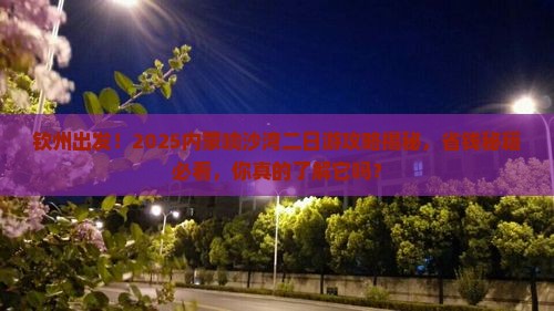 钦州去内蒙响沙湾二日游