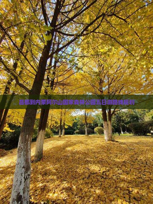 昌都到内蒙阿尔山国家森林公园五日游