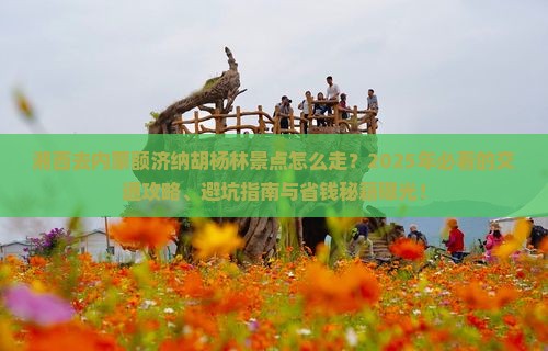 湘西去内蒙额济纳胡杨林景点