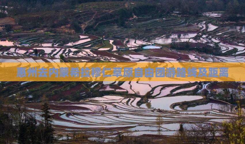惠州去内蒙希拉穆仁草原自由团