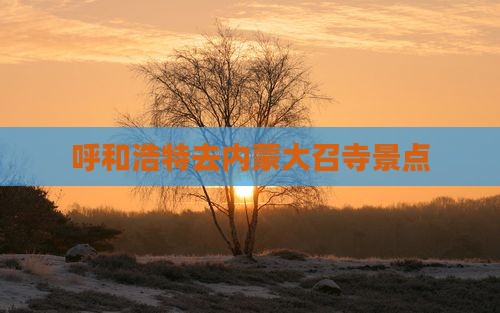 呼和浩特去内蒙大召寺景点