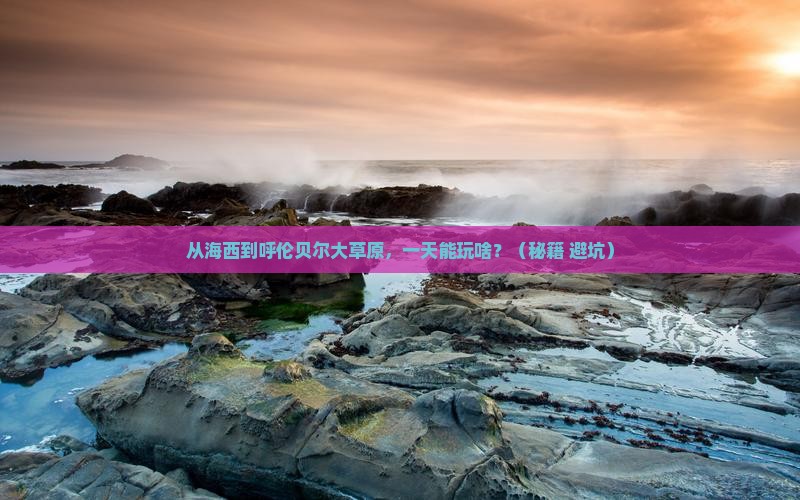 海西到内蒙呼伦贝尔大草原一日游