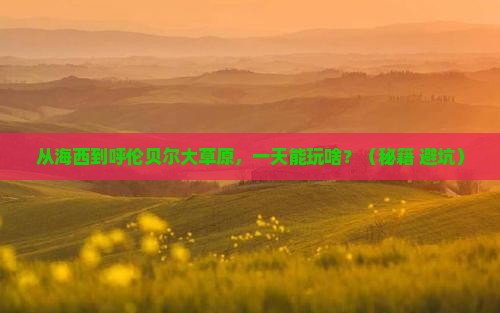 海西到内蒙呼伦贝尔大草原一日游