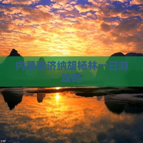 衡水到内蒙额济纳胡杨林一日游