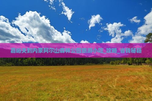 嘉峪关到内蒙阿尔山国家森林公园旅游小吃