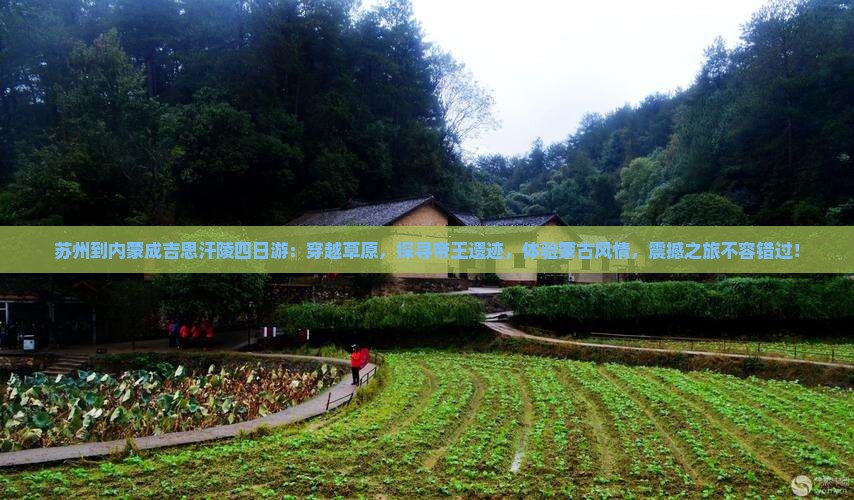 苏州到内蒙成吉思汗陵四日游