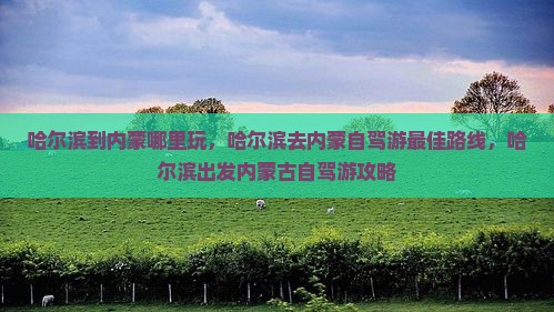 哈尔滨到内蒙哪里玩