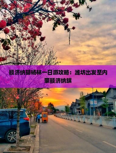 潍坊到内蒙额济纳胡杨林一日游