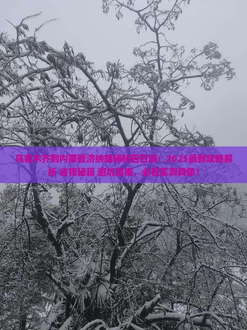 乌鲁木齐到内蒙额济纳胡杨林四日游