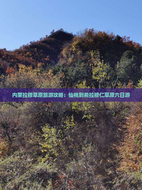 仙桃到内蒙希拉穆仁草原六日游