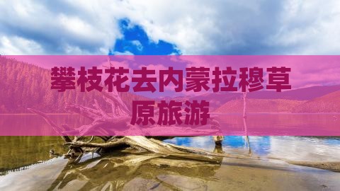 攀枝花去内蒙希拉穆仁草原旅行社