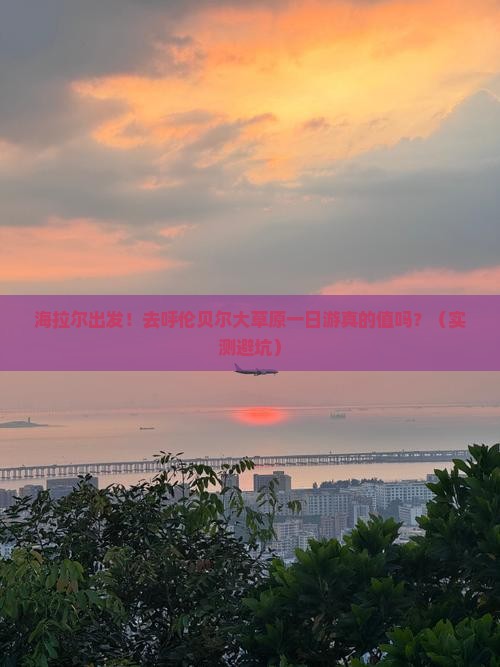 海拉尔去内蒙呼伦贝尔大草原一日游