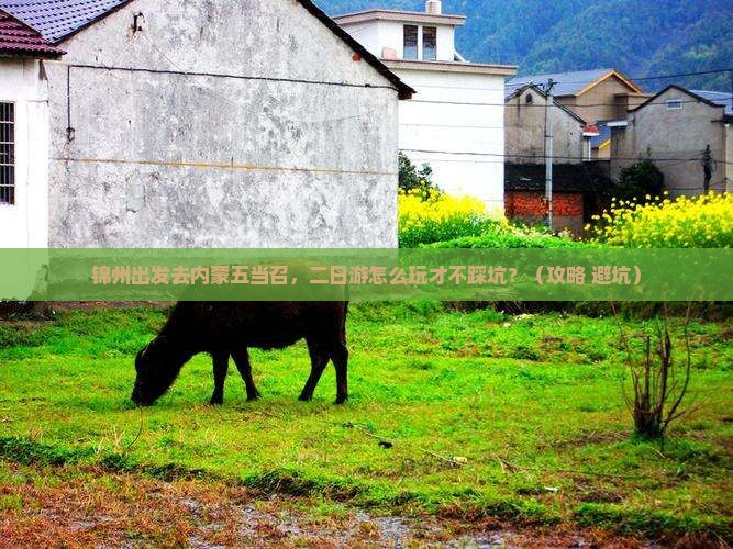 锦州去内蒙五当召二日游