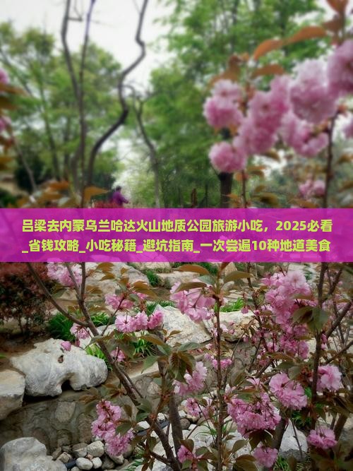 吕梁去内蒙乌兰哈达火山地质公园旅游小吃