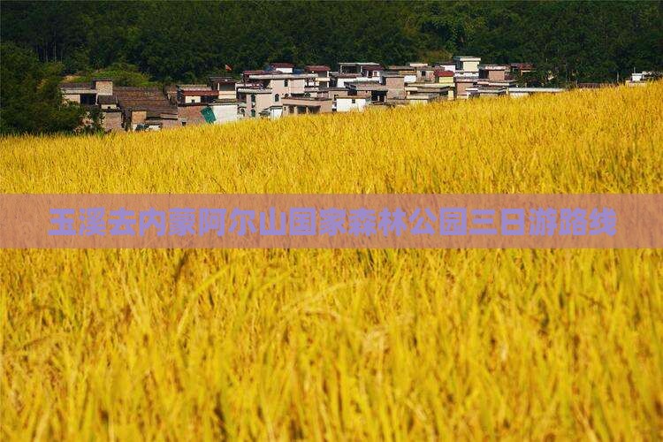 玉溪去内蒙阿尔山国家森林公园三日游