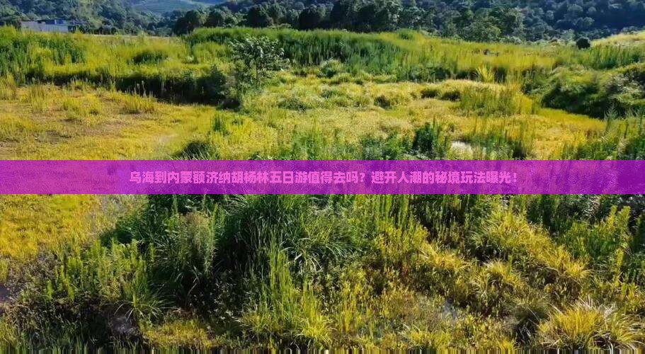 乌海到内蒙额济纳胡杨林五日游