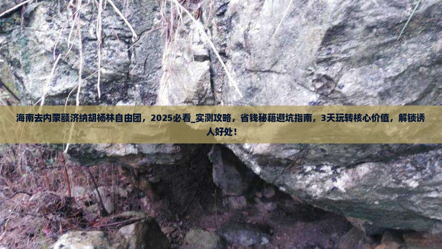 海南去内蒙额济纳胡杨林自由团