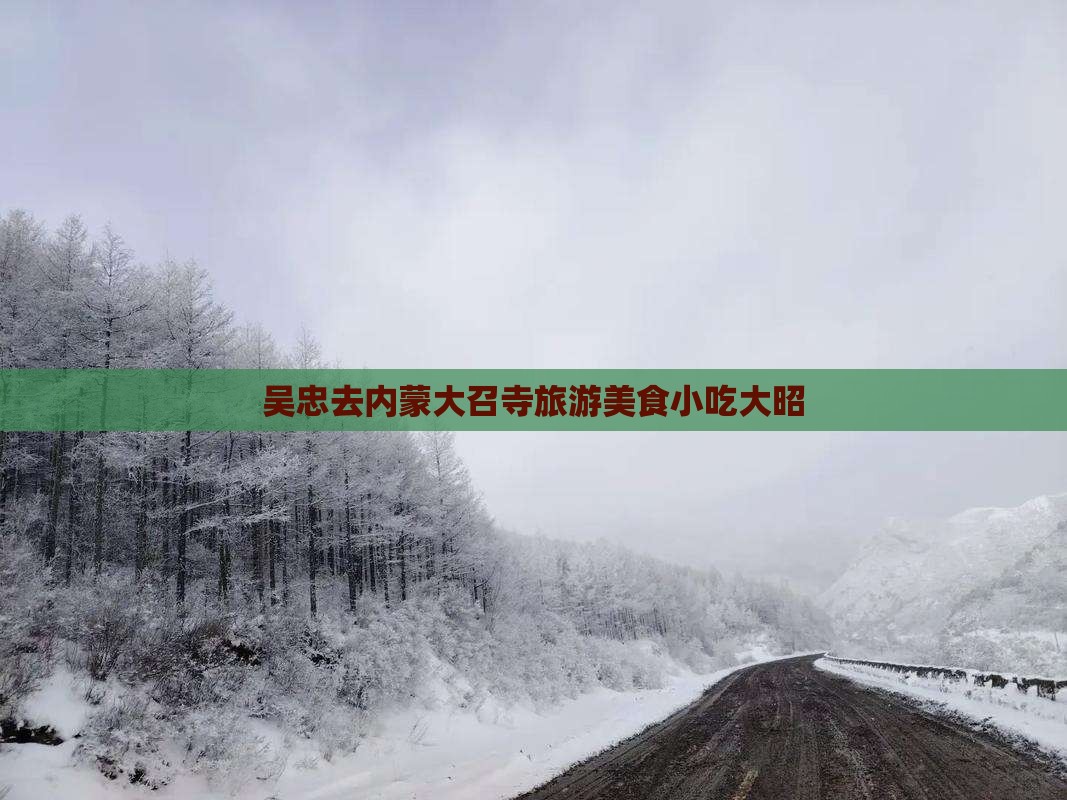 吴忠去内蒙大召寺旅游小吃