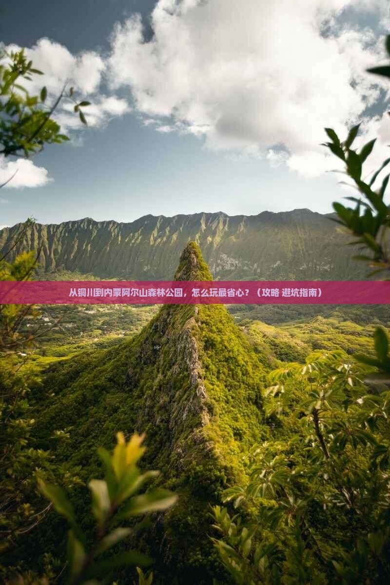 铜川去内蒙阿尔山国家森林公园门票