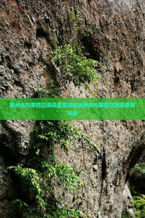 扬州去内蒙四日游