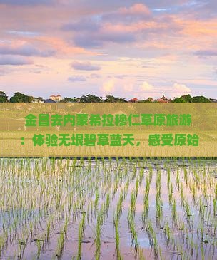 金昌去内蒙希拉穆仁草原旅游