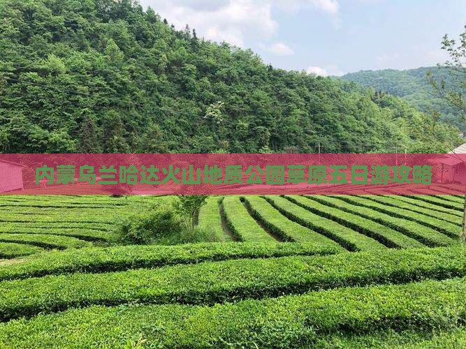 楚雄去内蒙乌兰哈达火山地质公园五日游