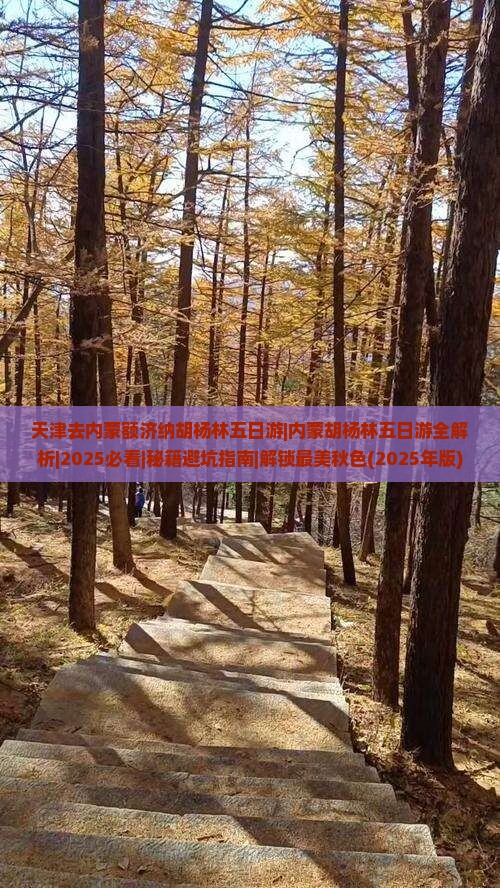 天津去内蒙额济纳胡杨林五日游