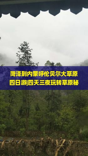 菏泽到内蒙呼伦贝尔大草原四日游
