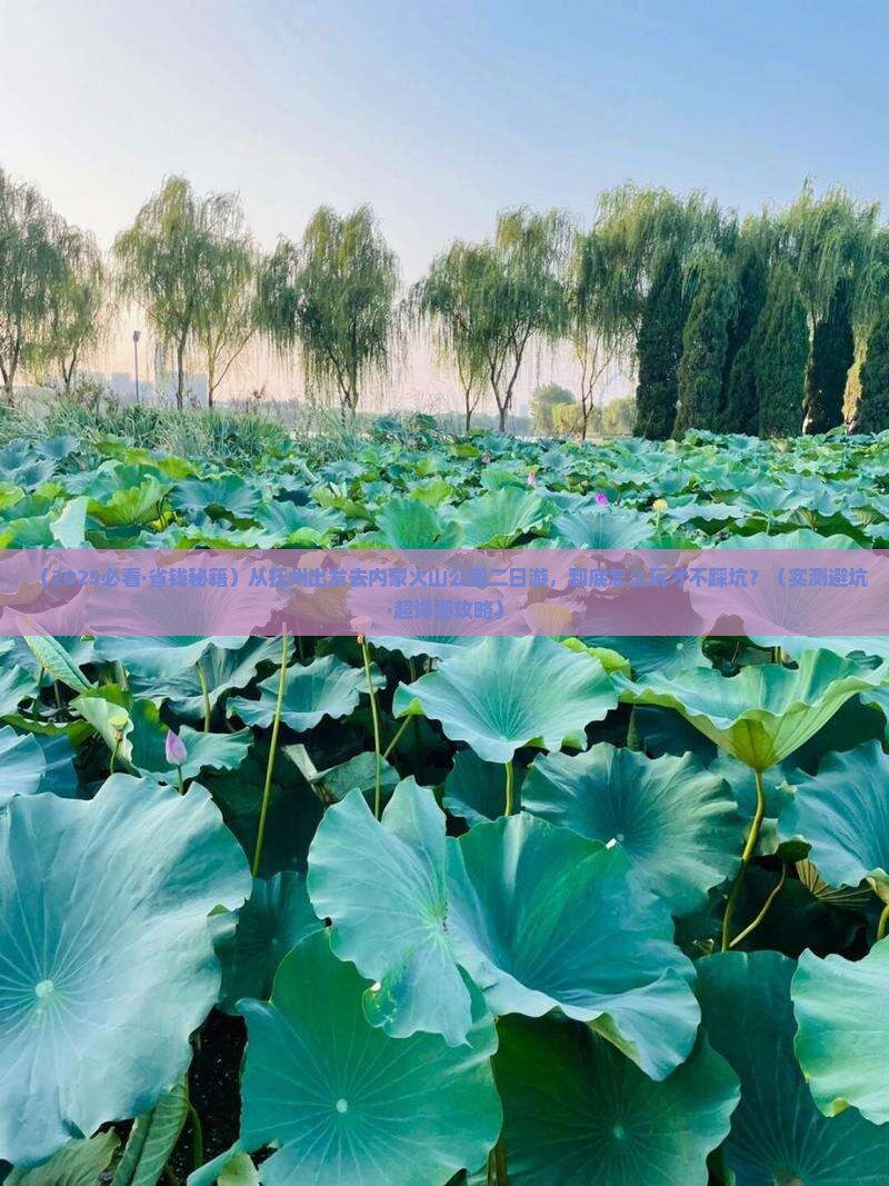抚州到内蒙乌兰哈达火山地质公园二日游