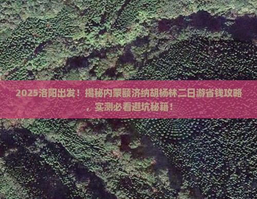 洛阳到内蒙额济纳胡杨林二日游